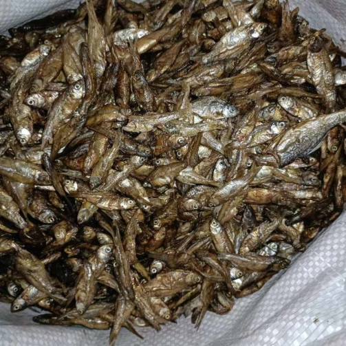 pahari dry fish