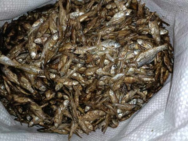 pahari dry fish